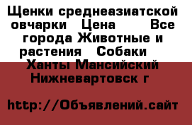 Щенки среднеазиатской овчарки › Цена ­ 1 - Все города Животные и растения » Собаки   . Ханты-Мансийский,Нижневартовск г.